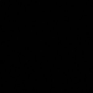 Meet your Posher, Mollie